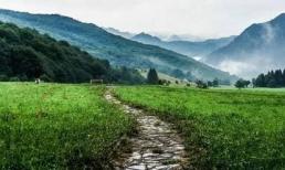 Trắc nghiệm tâm lý: Bạn muốn đi con đường nào, bước ngoặt cuộc đời bạn sẽ ở đâu?