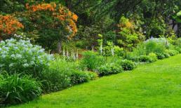 Người sinh vào 8 ngày này âm lịch, nam nữ đều có phúc, cả đời không thiếu tiền!