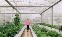 Mẹ đảm Lào Cai khoe vườn rau trên sân thượng xanh mướt, cho năng suất cao và bí quyết chăm sóc đơn giản