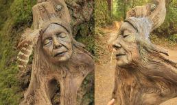 Một nghệ sĩ đã tạo ra những tác phẩm điêu khắc đáng kinh ngạc từ gỗ