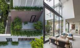 Thiết kế nhà vườn ấn tượng, tràn ngập ánh sáng và màu xanh mát của cây cối
