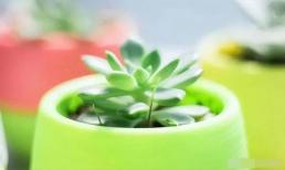 Khi đối xử với nhà thông gia, cố gắng đừng làm 3 điều này nếu có thể, kẻo ảnh hưởng đến cuộc sống vợ chồng trẻ