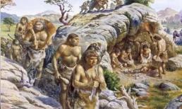 Nêu ngắn gọn nguồn gốc phát triển của loài người