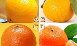 Trắc nghiệm tâm lý: Chọn một trong số nhiều quả cam và kiểm tra ấn tượng đầu tiên mà bạn tạo ra đối với người khác giới!