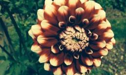 Sau năm mươi tuổi, đừng quá tốt với ba loại người này, sẽ tổn hại đến vận may của bạn