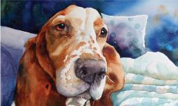 Tử vi tuần mới (13/3 - 19/3): top 3 con giáp vận số lên hương, Thần Tài chiếu cố, quý nhân theo gót về tận nhà