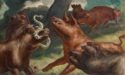 Vì sao rắn độc không giết được lợn?