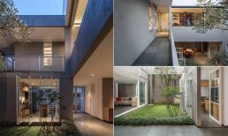 Thiết kế nhà phố đơn giản và đẹp, mang không gian xanh vào từng ngõ ngách  