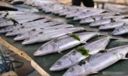 Khi mua cá, người sành ăn chọn “6 loại cá biển”, không nuôi nhân tạo được, thịt nguyên chất tươi ngon