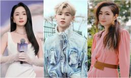 Thực hư loạt tin đồn mới của Cbiz: Dương Mịch sang Hông Kông 'cướp' con? Selina có thai trước hôn nhân?