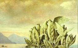 Trắc nghiệm tâm lý: Điều đầu tiên bạn nhìn thấy là gì và bạn có thể biết trạng thái của mình cao hay thấp không? 