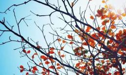 9 thói quen tốt có ích cả đời cho con người, nếu làm được bạn sẽ ngày càng thành công