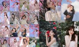 Chụp ảnh với hoa, hãy thử những cách chụp chung này, ảnh này trông đẹp hơn ảnh kia