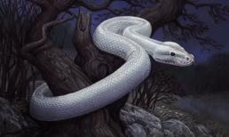 Tử vi tuần mới (20/3 - 26/3): top 3 con giáp vận trình cực vượng, sự nghiệp lên hương, có cơ hội đổi đời