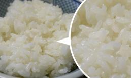 Ăn cơm trắng cũng khiến bạn bị ốm và những thứ diễn ra trong cuộc sống thường ngày tiềm ẩn nguy cơ gây hại cho sức khỏe 