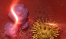 Phòng ngừa 'ung thư' mỗi ngày, làm tốt 3 điều này, ngăn ngừa 'tế bào ung thư', dù khó đến đâu cũng phải kiên trì!