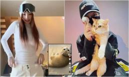 Cặp đôi 'mèo mả gà đồng' Lý Tiểu Lộ và PG One vẫn chưa chia tay, còn nuôi chung một con mèo?