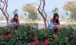 Vợ Mạnh Trường khoe vườn hoa trong biệt thự mới, nhìn rất bình yên