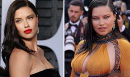 Siêu mẫu Adriana Lima, cựu thiên thần Victoria's Secret đã trở thành người mẫu XXL 
