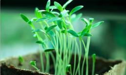 10 câu trả lời khiến bạn tỉnh táo ngay lập tức