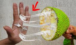 Ngại dùng tay bóc mít, 4 cách sau khiến nhựa mít không còn dính, phút chốc sạch sẽ 