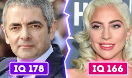 Đây là 8 ngôi sao Hollywood có chỉ số IQ cao nhất 