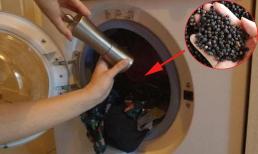 Nên cho hạt tiêu đen vào máy giặt, mẹo này thực sự rất hữu dụng mà nhiều người không biết!