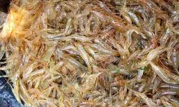 Tôm sông mùa này là béo mềm, ngon và bổ dưỡng nhất. Dạy bạn cách rang tôm ngon