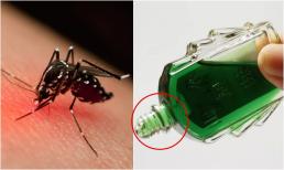 Khi muỗi lảng vảng quanh nhà bạn, hãy dùng 6 cách đuổi muỗi bằng dầu gió, hiệu quả ngay tức thì