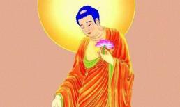 Những người nào có duyên với Phật, hãy cùng xem bạn có ở đó không?