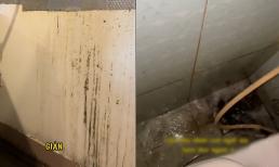 Người ở mới 'khóc thét' với phòng trọ chung của 1 nam và 2 nữ sinh viên trước đó, mất 3 tiếng để dọn nhà vệ sinh