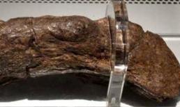 Phân người lớn nhất từ ​​trước đến nay, dài khoảng 20 cm, các nhà khoa học: quý như đá quý