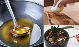 Dầu ăn dùng một lần bỏ đi thì quá phí, làm theo cách này, đồ thừa cũng thành 'bảo bối'