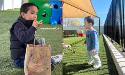 Phạm Hương đưa 2 quý tử đi chơi, Apollo gây thích thú với loạt khoảnh khắc tinh nghịch hơn anh trai Maximus
