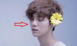 Đừng động đến những nốt ruồi phú quý trên mặt, chúng có thể khiến bạn sống an nhàn, phú quý cả đời