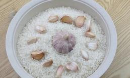 Hóa ra bảo quản tỏi lại đơn giản như vậy! Không cần cho tủ lạnh, để lâu cũng không bị nảy mầm hay khô, thiết thực lại tiết kiệm chi phí
