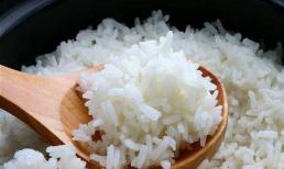 Hâm cơm lần 2 có gây ung thư? Bác sĩ nhắc: Cố gắng đừng hâm nóng 5 thứ này