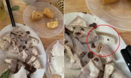 Ăn bún đậu mắm tôm, cô gái 'tởn tới già' khi phát hiện cả con sán dài trong lòng lợn