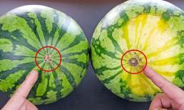 Từ nay khi mua dưa hấu, bạn không cần vỗ, nhìn điểm này mà chọn, quả nào cũng ngon ngọt, ruột đỏ au