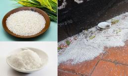 Gạo và muối cúng xong đừng vứt bừa bãi, chỉ bạn cách để 'hút lộc' về cho gia đình