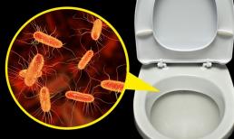 Đâu là nơi nguy hiểm và dễ nhiễm bệnh nhất ở bồn cầu?