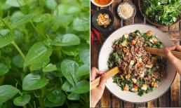 Loài rau mọc dại vẫn thường bị nhổ bỏ, nay là món ăn 'thần dược' vào mùa hè, 'đắt hơn thịt'