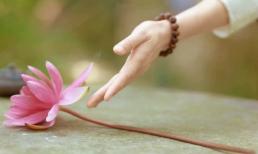 Người tâm trong sạch thường sở hữu 4 đặc điểm thoạt nhìn là biết có phúc