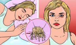 6 lý do tại sao bạn không nên dọn giường vào sáng mai