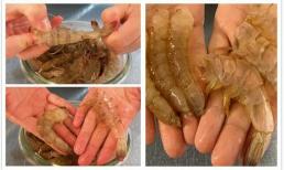 Hóa ra lột vỏ tôm lại đơn giản như vậy, dạy bạn một mẹo nhỏ, kéo nhẹ nhàng, mất 3 giây, đơn giản và thiết thực