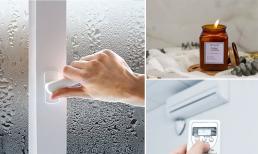 Trời mưa nồm, đóng cửa bật quạt là sai! Làm theo cách này đảm bảo nhà khô, hết mùi ẩm mốc lại thơm tho