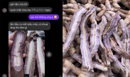 Chàng rể tương lai làm 'mếch lòng' bố bạn gái, tưởng quà ra mắt là đồ rẻ tiền, nào ngờ là vị thuốc quý