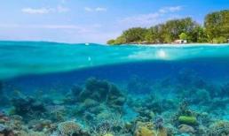 Trắc nghiệm tâm lý: Đáy biển nào nguy hiểm nhất? Bạn muốn thử vận ​​may trong năm nay là gì?