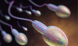 Điều gì sẽ xảy ra nếu một người đàn ông không 'xuất tinh' trong một thời gian dài? Bác sĩ: Có thể có 5 hậu quả lớn