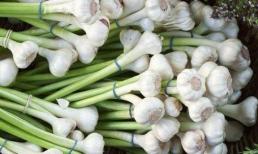 Những người nhất quyết ăn 'tỏi' mỗi ngày, cuối cùng họ nhận được gì? Bác sĩ cho bạn biết câu trả lời